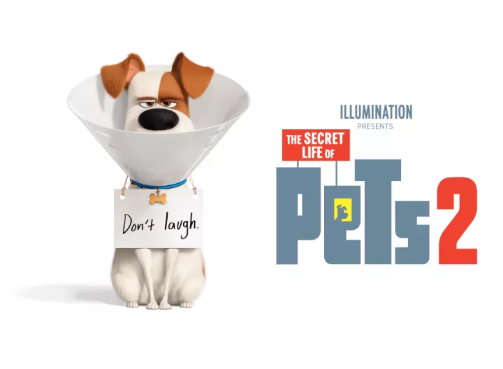 The Secret Life of Pets 2 (2019)