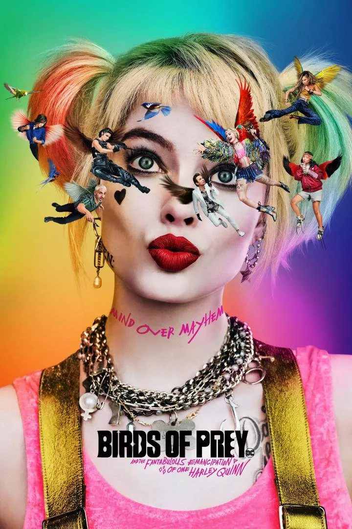 Birds of Prey: And the Fantabulous Emancipation of One Harley Quinn (2020)